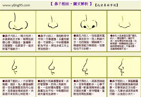 面像 鼻子|14种鼻型图解 最全鼻子看相解读命运